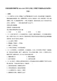 河南省南阳市镇平县2024-2025学年九年级上学期9月月考道德与法治试题