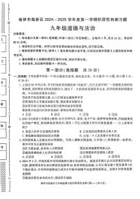 陕西省榆林市高新区2024-2025学年九年级上学期期中道德与法治试卷