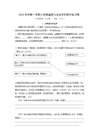 上海市奉贤区2024-2025学年八年级上学期11月期中道德与法治试题