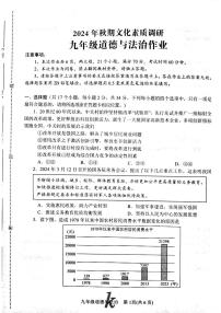 河南省南阳市西峡县2024-2025学年九年级上学期11月期中道德与法治试题