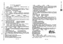 河北省承德市兴隆县 2024-2025学年八年级上学期期中考试道德与法治试题