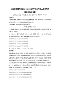 云南省曲靖市沾益区2024-2025学年九年级上学期期中道德与法治试卷（解析版）