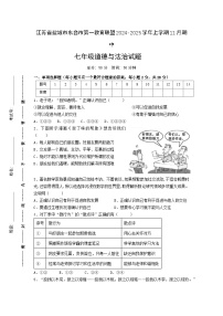 江苏省盐城市东台市第一教育联盟2024-2025学年七年级上学期11月期中道德与法治试题