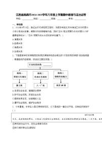 江西省南昌市2024-2025学年八年级上学期期中道德与法治试卷(含答案)