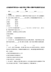 山东省滨州市博兴县2025届九年级上学期11月期中考试道德与法治试卷(含答案)