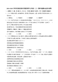 河南省郑州市新郑市2024-2025学年九年级上学年期中道德与法治试卷（含答案）