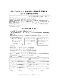湖北省武汉市洪山区 2024-2025学年九年级上学期期中道德与法治试卷