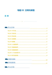 2025年中考道德与法治一轮复习考点练习专题03 文明与家园（练习）（解析版）