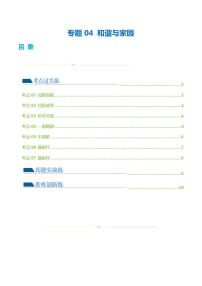 2025年中考道德与法治一轮复习考点练习专题04 和谐与梦想（练习）（解析版）