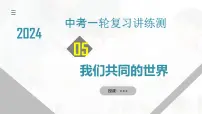 2025年中考道德与法治一轮复习考点讲练测课件专题05 我们共同的世界（含答案）