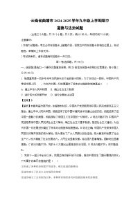 云南省曲靖市2024-2025学年九年级上学期期中道德与法治试卷（解析版）