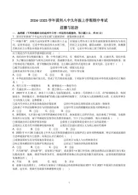 广东省雷州市第八中学2024-2025学年九年级上学期11月期中道德与法治试题