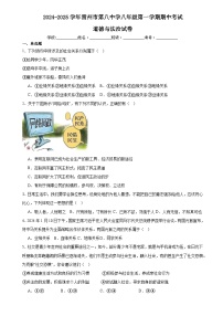 广东省雷州市第八中学2024-2025学年八年级上学期11月期中道德与法治试题