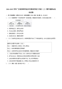 广东省深圳市盐田外国语学校2024-2025学年八年级上学期期中道德与法治试卷