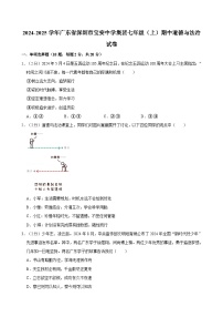 广东省深圳市宝安区宝安中学集团2024-2025学年七年级上学期期中联考道德与法治试卷