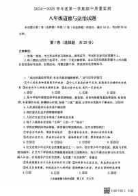 山东省泰安市宁阳县2024-2025学年(五四学制)八年级上学期期中考试道德与法治试题