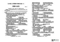山东省滨州市惠民县2024-2025学年九年级上学期11月期中道德与法治试题