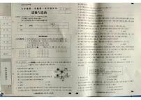 河北省廊坊市香河县2024-2025学年九年级上学期11月期中道德与法治试题