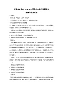 2024~2025学年河南省安阳市九年级(上)期中道德与法治试卷(解析版)