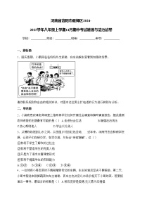 河南省洛阳市偃师区2024-2025学年八年级上学期11月期中考试道德与法治试卷(含答案)