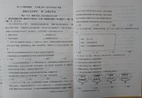 辽宁省鞍山市铁西区育才中学2024-2025学年九年级上学期12月月考道德与法治试题