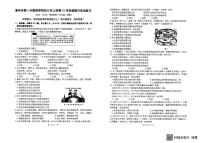 福建省漳州市第一外国语学校2024-2025学年九年级上学期12月月考道德与法治试题