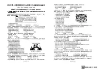福建省漳州市第一外国语学校2024-2025学年九年级上学期12月月考道德与法治试题