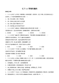 政治 (道德与法治)七年级下册（2024）第一单元 珍惜青春时光第一课 青春正当时青春的邀约优秀课时练习