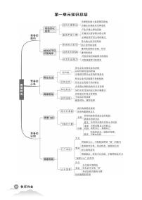 初中道法《基础知识总结》七下