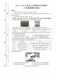 河南省驻马店市平舆县 2024-2025学年八年级上学期期末学情测评道德与法治试卷