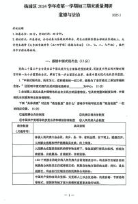 上海市杨浦区2024-2025学年九年级上学期期末考试道德与法治试卷