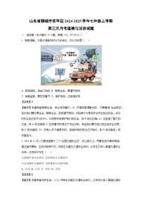 2024~2025学年山东省聊城市茌平区七年级上学期第三次月考道德与法治试卷（解析版）