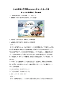 2024~2025学年山东省聊城市茌平区七年级上学期第三次月考道德与法治试卷（解析版）