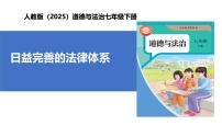 政治 (道德与法治)七年级下册（2024）日益完善的法律体系优秀教学作业课件ppt