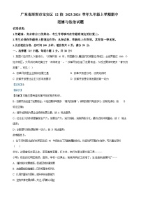 广东省深圳市宝安区12校2023-2024学年九年级上学期期中道德与法治试题（含答案）