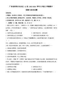 广东省深圳市宝安区12校2023-2024学年九年级上学期期中道德与法治试题