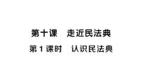 政治 (道德与法治)七年级下册（2024）认识民法典作业ppt课件