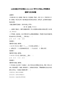 山东省临沂市兰陵县2024-2025学年七年级上学期期末道德与法治试卷（解析版）