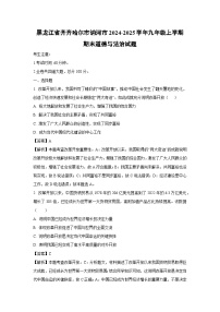 2024-2025学年黑龙江省齐齐哈尔市讷河市九年级上学期期末道德与法治试卷（解析版）