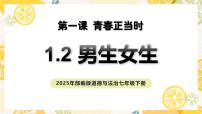 人教版（2024）七年级下册（2024）第一单元 珍惜青春时光第一课 青春正当时男生女生精品教学课件ppt