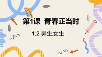 初中政治 (道德与法治)人教版（2024）七年级下册（2024）男生女生课文内容课件ppt