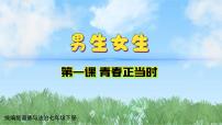 初中政治 (道德与法治)人教版（2024）七年级下册（2024）男生女生备课ppt课件