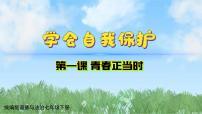 初中政治 (道德与法治)人教版（2024）七年级下册（2024）学会自我保护教课课件ppt