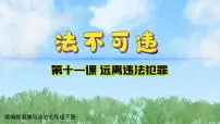 初中政治 (道德与法治)人教版（2024）七年级下册（2024）法不可违课文课件ppt