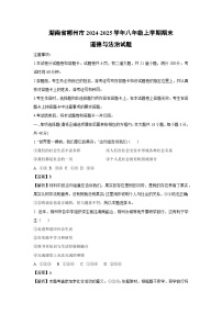 湖南省郴州市2024-2025学年八年级(上)期末道德与法治试卷（解析版）