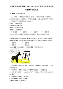 四川省泸州市龙马潭区2024-2025学年七年级下学期开学考试 道德与法治试题（含解析）