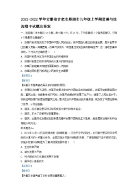 2021-2022学年安徽省合肥市巢湖市九年级上学期道德与法治期中试题及答案
