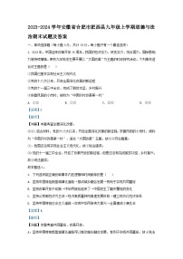 2023-2024学年安徽省合肥市肥西县九年级上学期道德与法治期末试题及答案