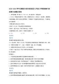 2023-2024学年安徽省合肥市肥西县九年级上学期道德与法治期末试题及答案