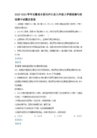 2023-2024学年安徽省合肥市庐江县九年级上学期道德与法治期中试题及答案